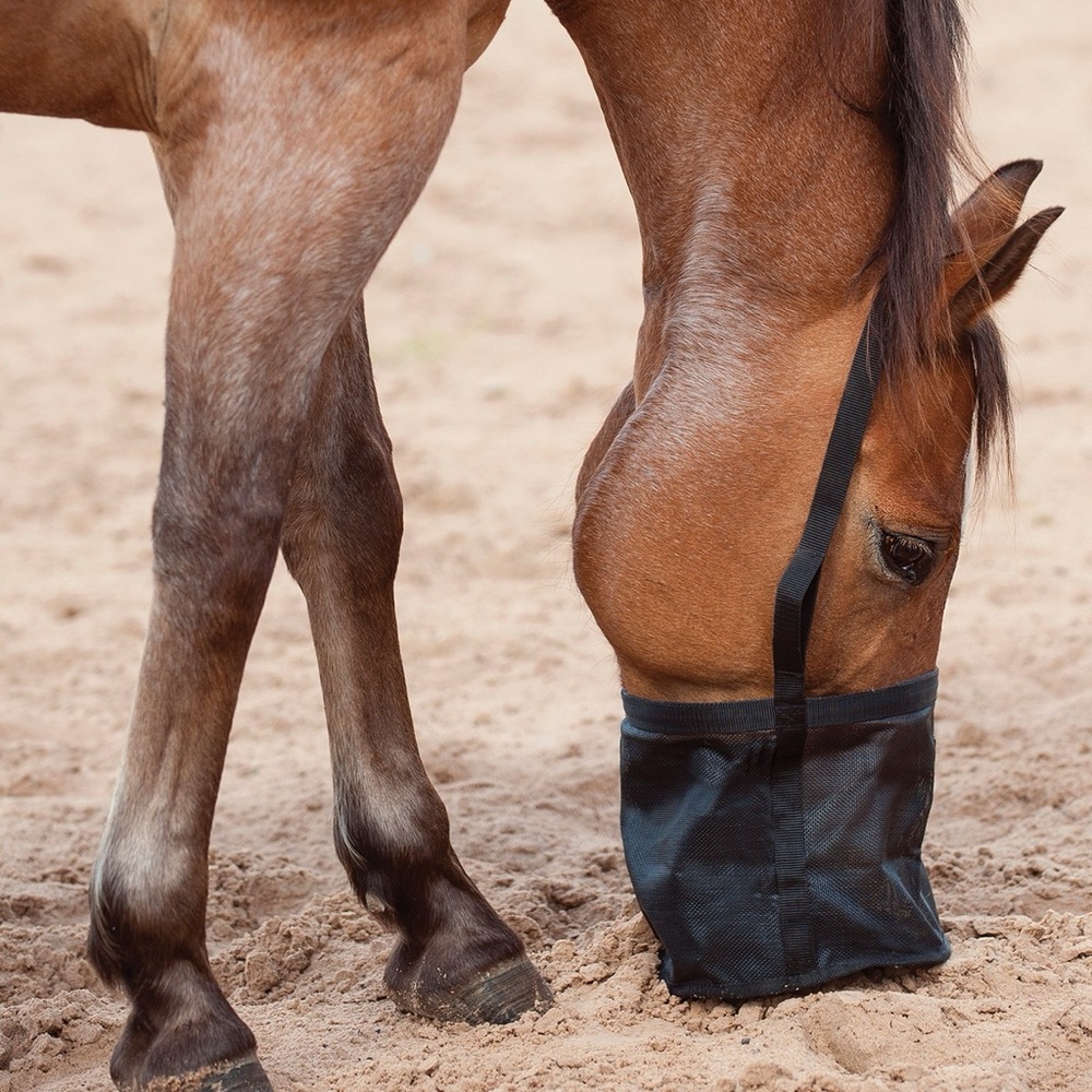 Cashel Feed Rite Feed Bag Horse Size NWT
